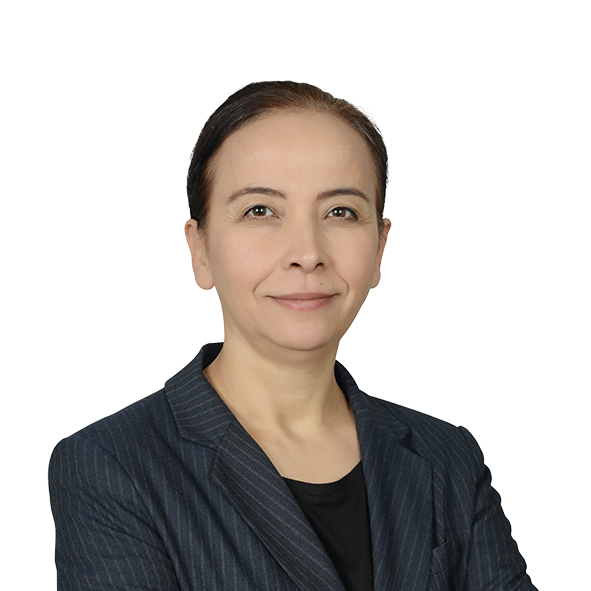 Gülay Ekren